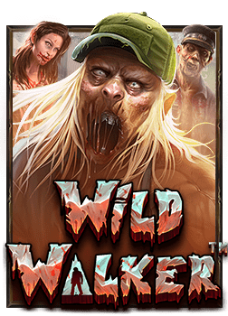 Panda Panda รีวิว: สูตรการเล่นเพื่อชนะ